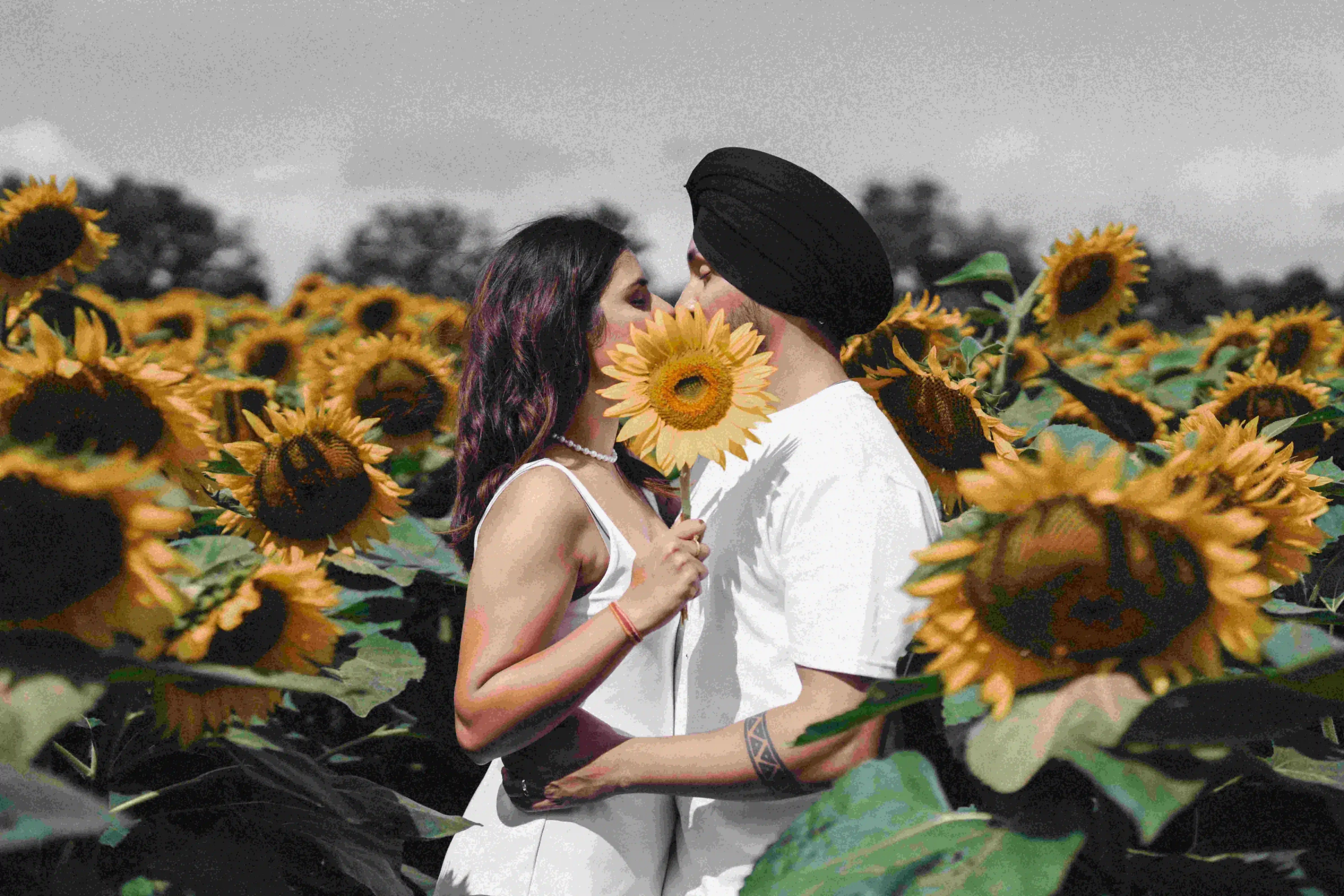 Amrit and Simran Sikh wedding in Brampton by Stellar Films